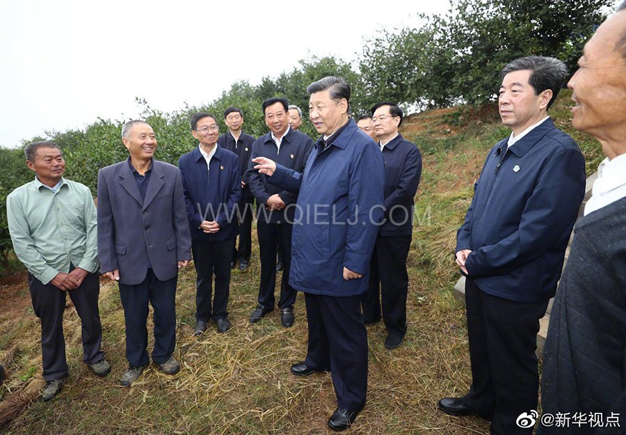 光山油茶籽榨油設備，山茶籽油榨油機廠家(圖3)