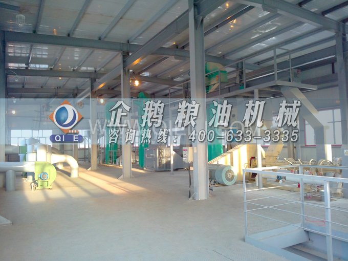 如何提取到高質(zhì)量的大豆油？一條企鵝浸出生產(chǎn)線就足夠了(圖2)